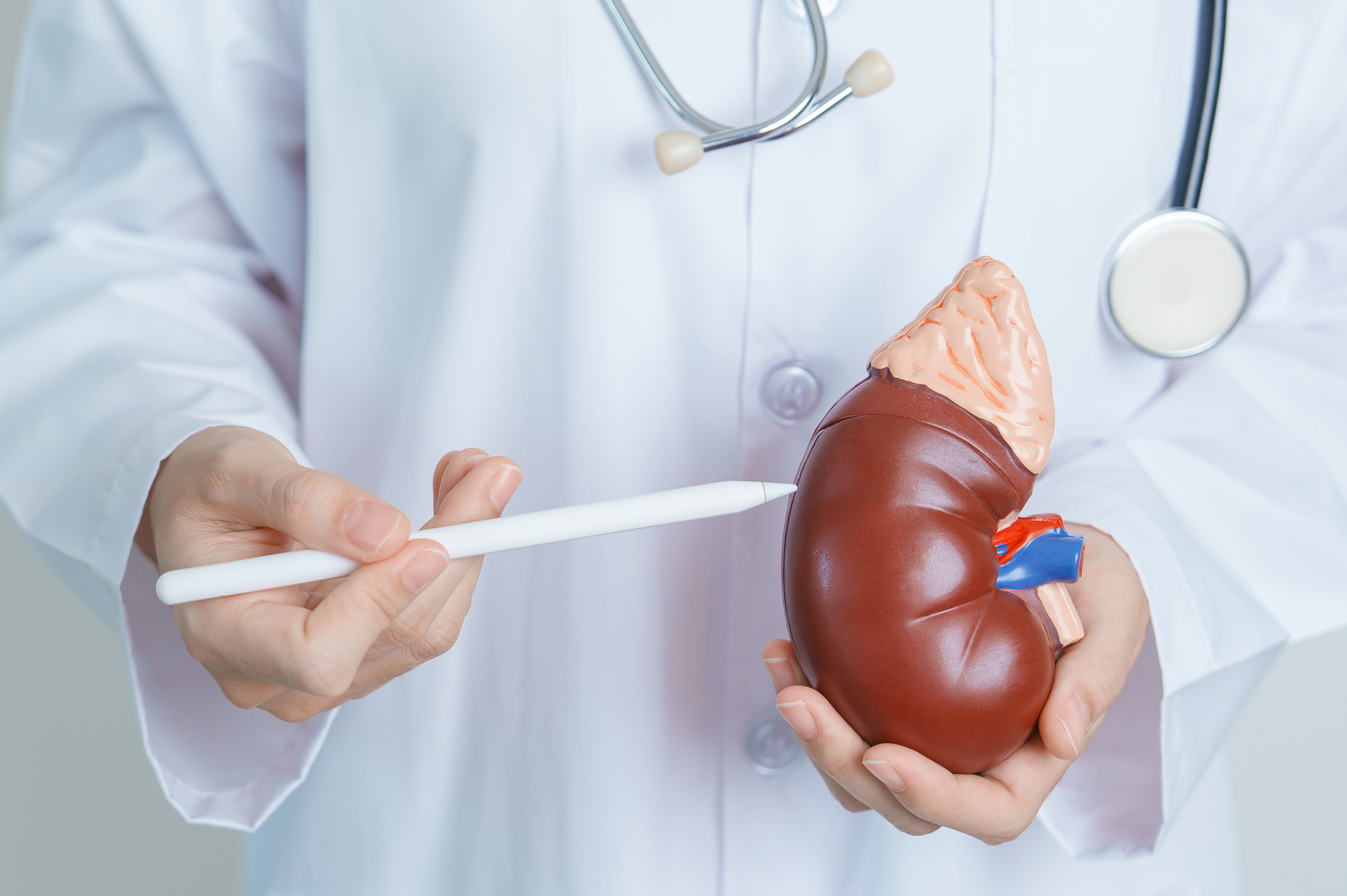 고혈압 설명 이미지